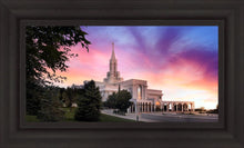 Load image into Gallery viewer, Bountiful Light

