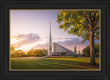 Load image into Gallery viewer, Dallas Eventide
