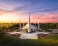 Load image into Gallery viewer, Dallas from on High
