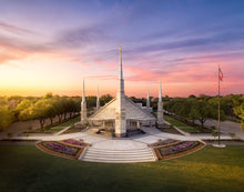Load image into Gallery viewer, Dallas from on High
