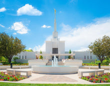 Load image into Gallery viewer, Denver Daytime Fountain
