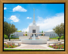 Load image into Gallery viewer, Denver Daytime Fountain
