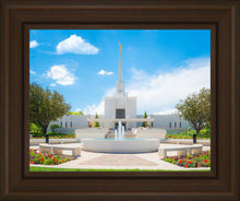 Load image into Gallery viewer, Denver Daytime Fountain
