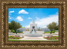 Load image into Gallery viewer, Denver Daytime Fountain

