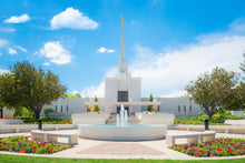 Load image into Gallery viewer, Denver Daytime Fountain
