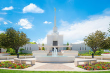 Load image into Gallery viewer, Denver Daytime Fountain
