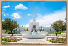 Load image into Gallery viewer, Denver Daytime Fountain
