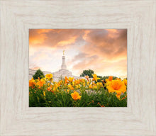 Load image into Gallery viewer, Detroit Flowers
