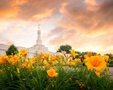 Load image into Gallery viewer, Detroit Flowers
