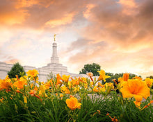 Load image into Gallery viewer, Detroit Flowers
