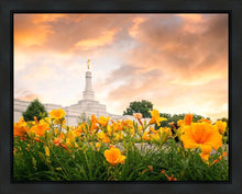 Load image into Gallery viewer, Detroit Flowers
