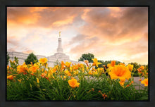 Load image into Gallery viewer, Detroit Flowers
