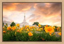 Load image into Gallery viewer, Detroit Flowers
