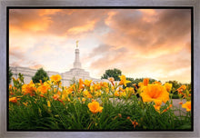 Load image into Gallery viewer, Detroit Flowers
