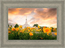 Load image into Gallery viewer, Detroit Flowers
