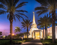Load image into Gallery viewer, Something Blue in Fort Lauderdale
