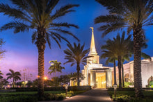 Load image into Gallery viewer, Something Blue in Fort Lauderdale
