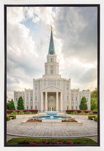 Load image into Gallery viewer, Houston Day
