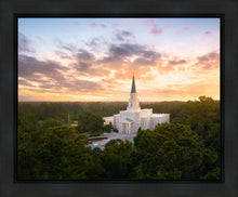 Load image into Gallery viewer, Houston from on High
