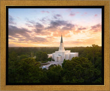 Load image into Gallery viewer, Houston from on High
