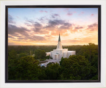 Load image into Gallery viewer, Houston from on High
