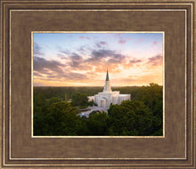 Load image into Gallery viewer, Houston from on High
