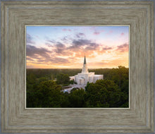 Load image into Gallery viewer, Houston from on High
