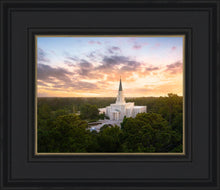Load image into Gallery viewer, Houston from on High
