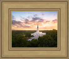 Load image into Gallery viewer, Houston from on High
