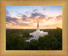Load image into Gallery viewer, Houston from on High
