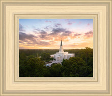 Load image into Gallery viewer, Houston from on High
