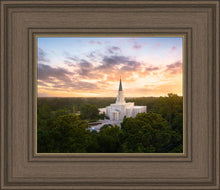 Load image into Gallery viewer, Houston from on High
