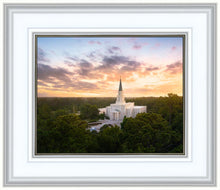 Load image into Gallery viewer, Houston from on High

