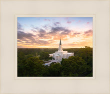Load image into Gallery viewer, Houston from on High
