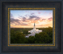 Load image into Gallery viewer, Houston from on High
