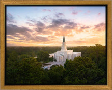 Load image into Gallery viewer, Houston from on High
