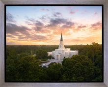 Load image into Gallery viewer, Houston from on High
