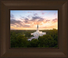 Load image into Gallery viewer, Houston from on High
