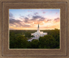 Load image into Gallery viewer, Houston from on High
