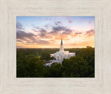 Load image into Gallery viewer, Houston from on High
