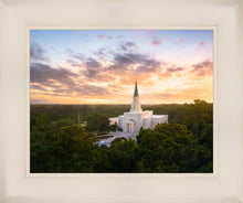 Load image into Gallery viewer, Houston from on High
