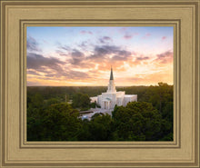 Load image into Gallery viewer, Houston from on High
