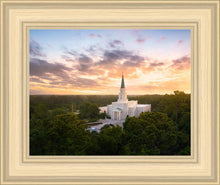 Load image into Gallery viewer, Houston from on High

