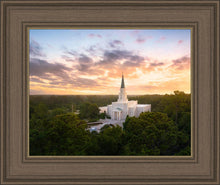 Load image into Gallery viewer, Houston from on High
