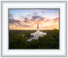 Load image into Gallery viewer, Houston from on High
