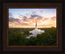 Load image into Gallery viewer, Houston from on High
