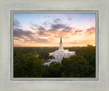 Load image into Gallery viewer, Houston from on High
