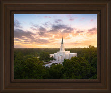 Load image into Gallery viewer, Houston from on High
