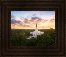 Load image into Gallery viewer, Houston from on High
