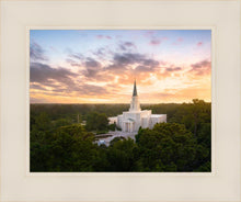 Load image into Gallery viewer, Houston from on High
